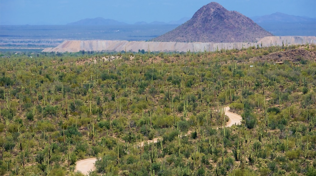 Tucson which includes desert views, tranquil scenes and mountains