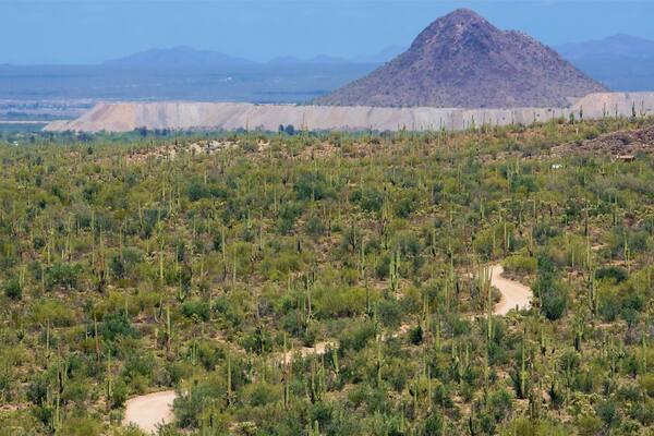 Tucson montrant montagnes, scènes tranquilles et vues du désert
