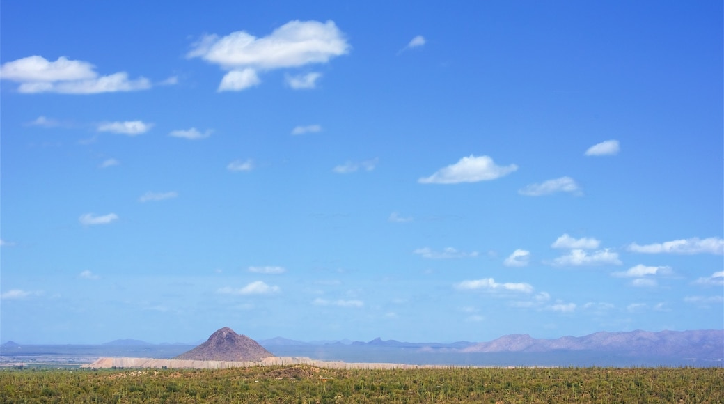 Tucson which includes mountains, desert views and tranquil scenes