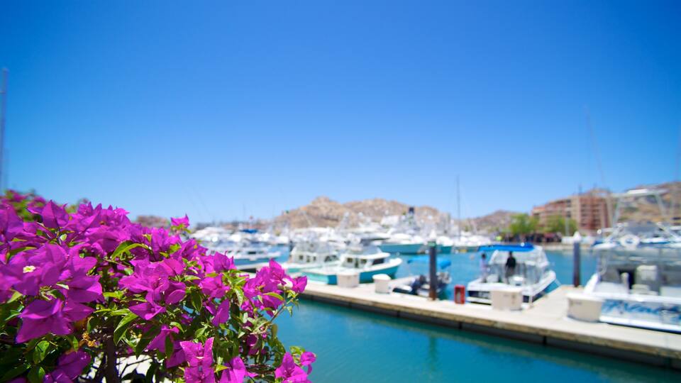 Mexico which includes a bay or harbor, a marina and flowers