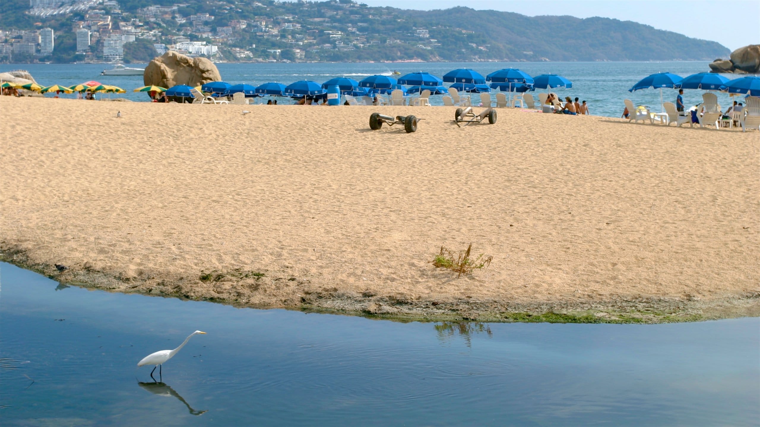 Guerrero, MX Vacation Rentals villa rentals & more Vrbo