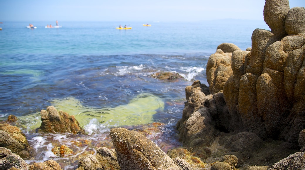 México que incluye piragüismo, litoral rocoso y una bahía o un puerto