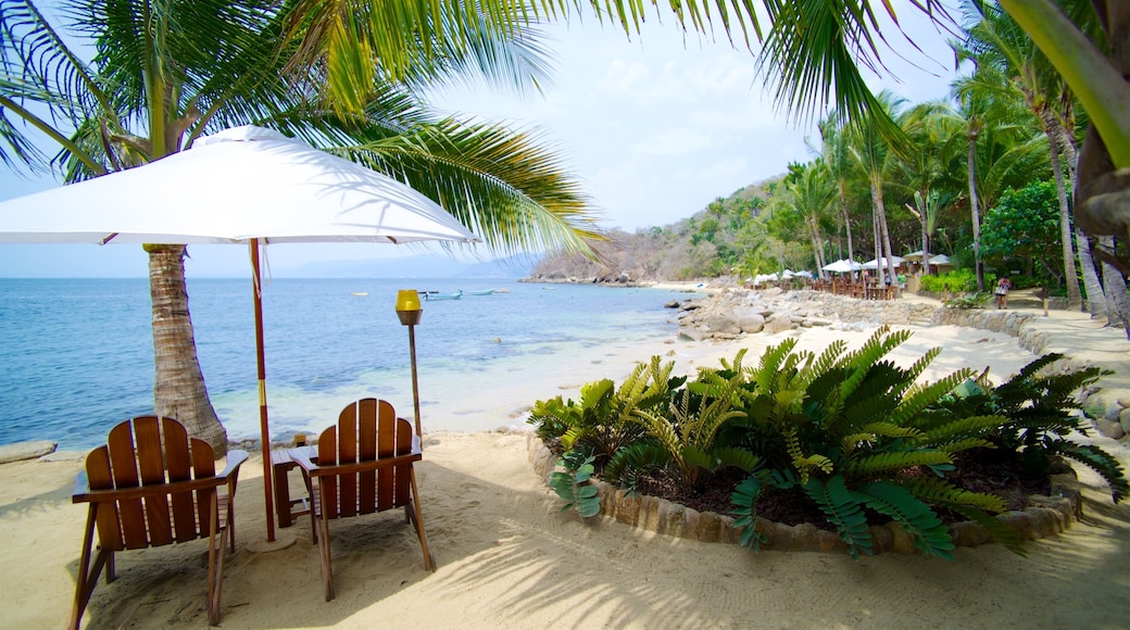 Mexico showing a sandy beach, rocky coastline and a bay or harbour