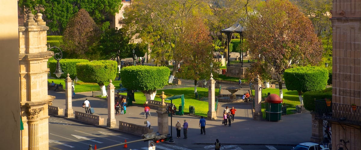 Mexico featuring a garden and street scenes as well as a small group of people