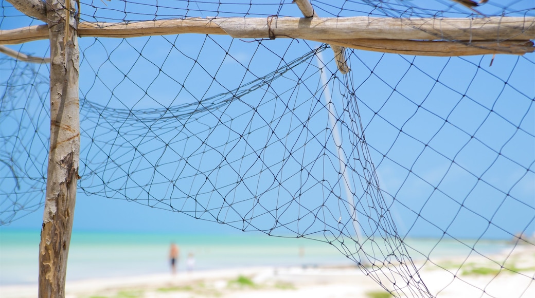 México ofreciendo una playa de arena