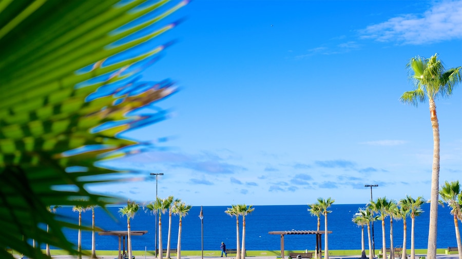 Mexico showing general coastal views and a bay or harbour