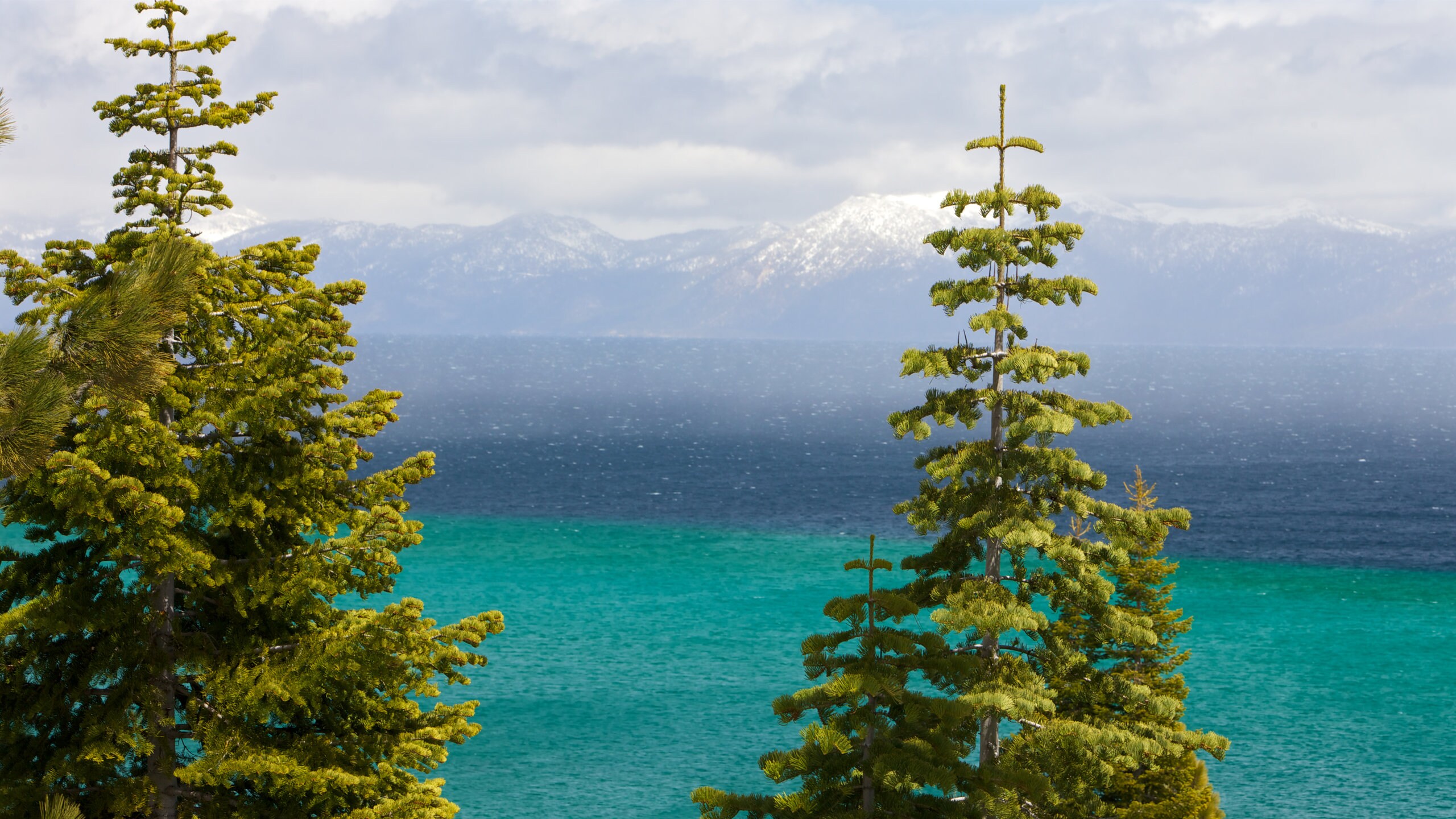 Visit Bay Area 2023 Travel Guide for Bay Area, California Expedia