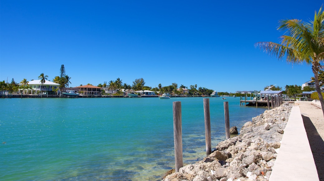 Sur de Florida ofreciendo una ciudad costera y una bahía o puerto