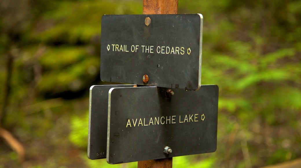 Western Montana showing signage