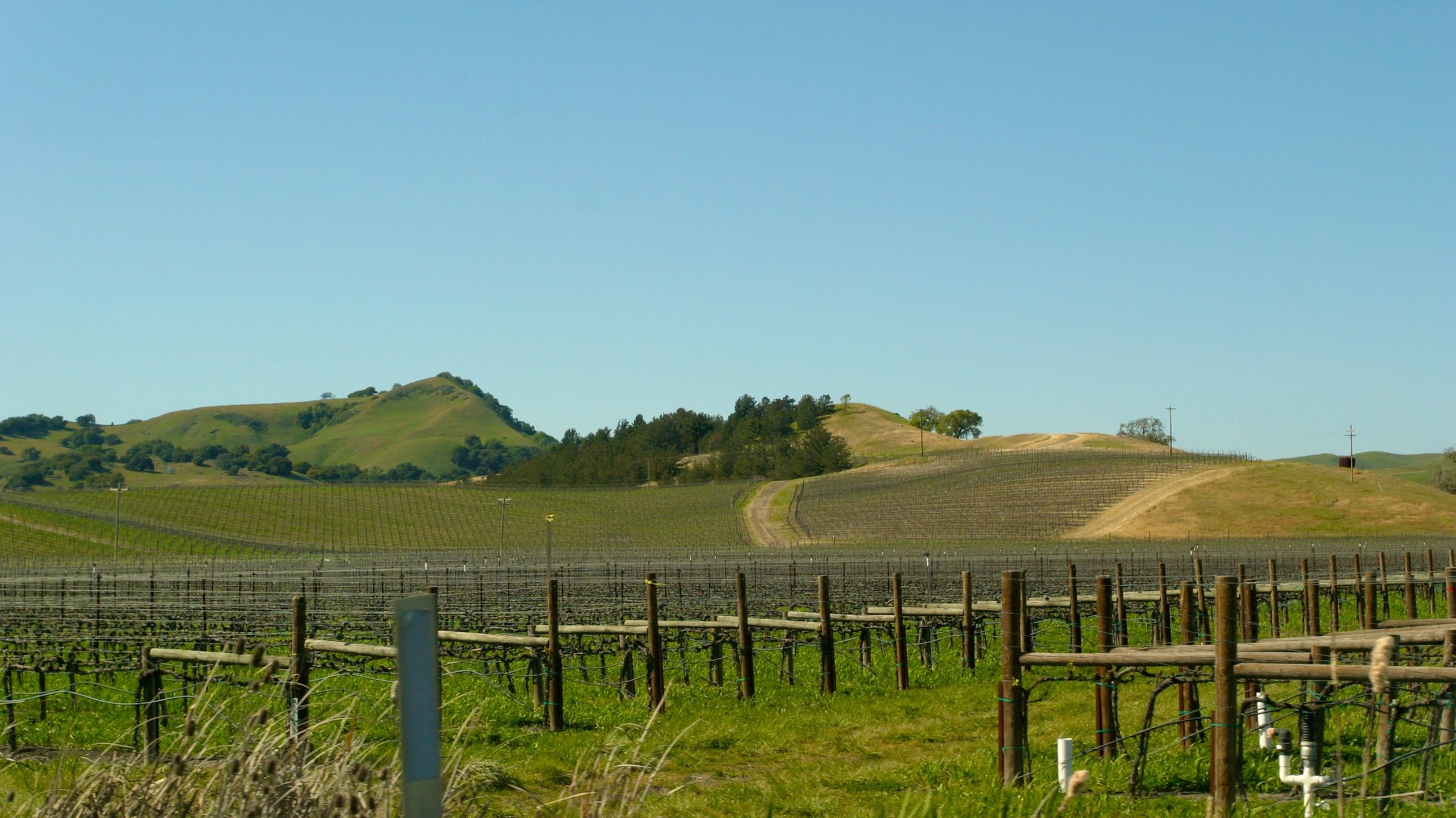 Sonoma Valley