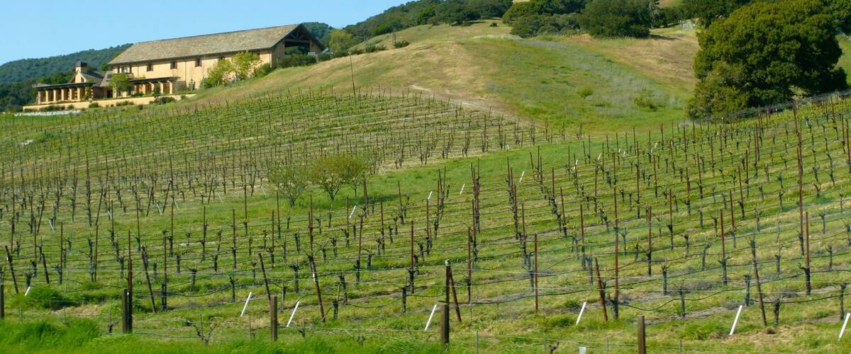 California Wine Country