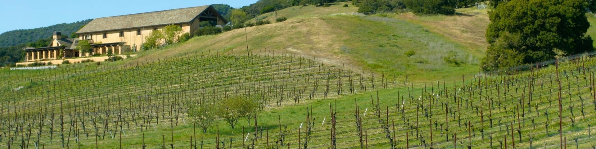 California Wine Country