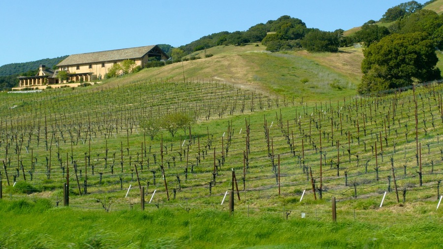 California Wine Country