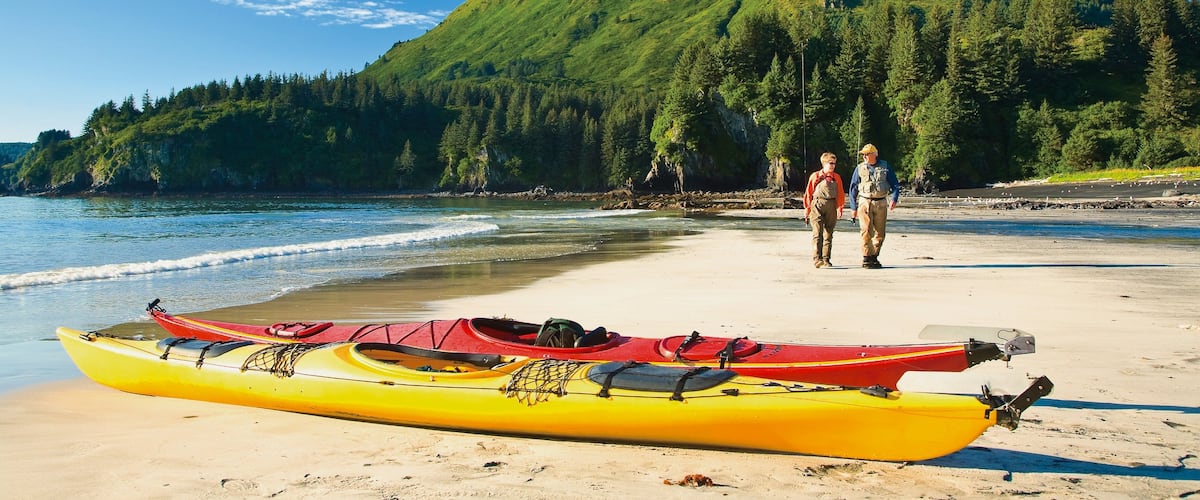 Kodiak mostrando una playa, kayak o canoa y montañas