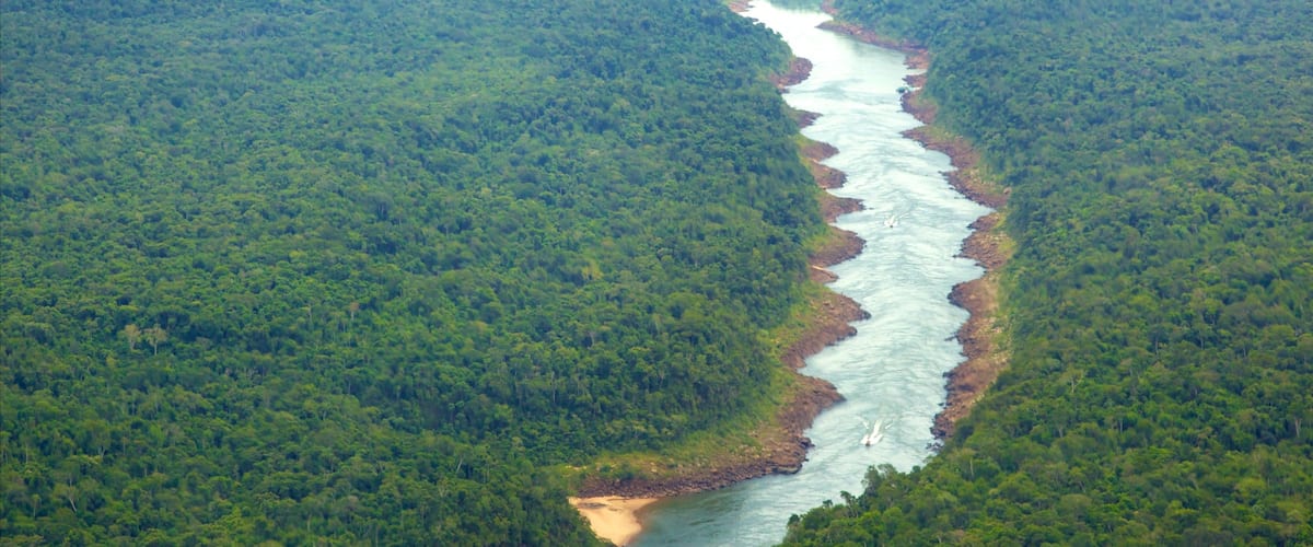 Mesopotamia que incluye un río o arroyo y bosques