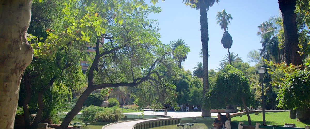 San Martin Square which includes a park as well as a small group of people