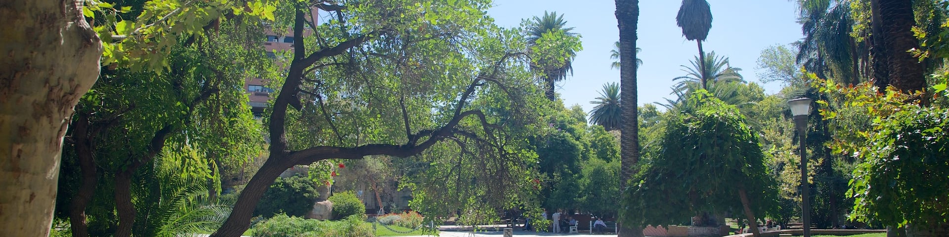 San Martin Square which includes a park as well as a small group of people