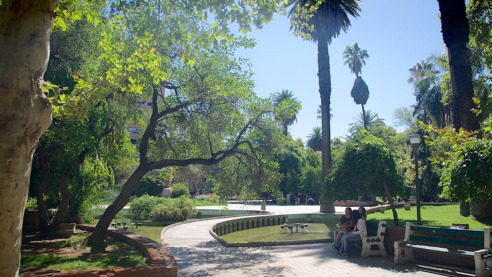San Martin Square which includes a garden as well as a small group of people