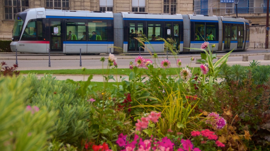 Rhone-Alpes which includes flowers as well as a large group of people