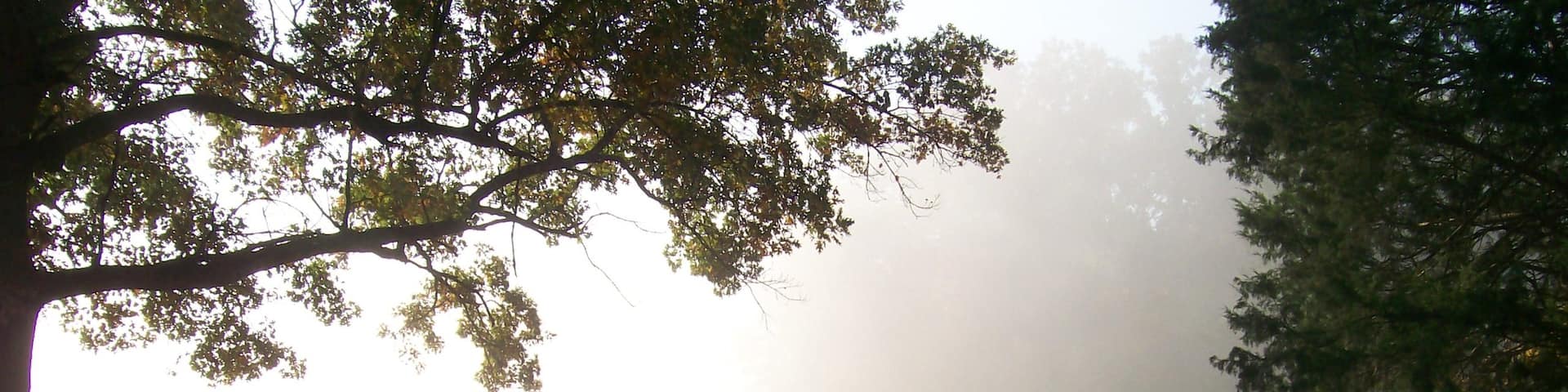 Shiloh National Military Park mit einem Nebel, Militärisches und Geschichtliches