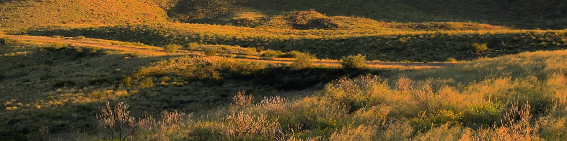 Big Bend National Park