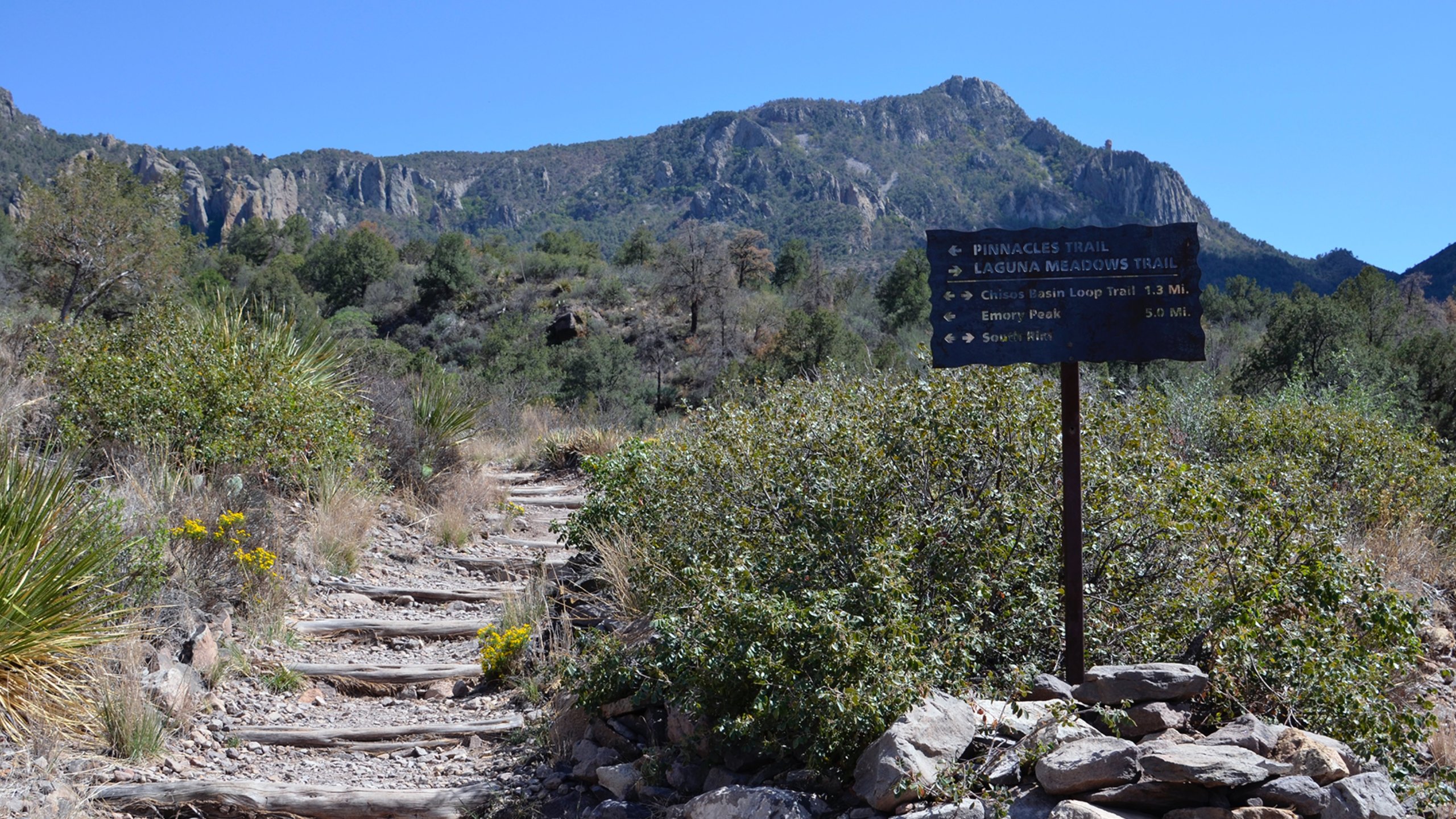 Visitez Parc national Big Bend : le meilleur à Parc national Big Bend ...