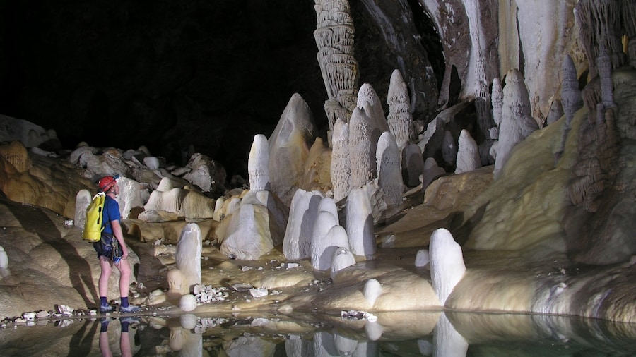 Carlsbad Caverns National Park presenterar grottor såväl som en man
