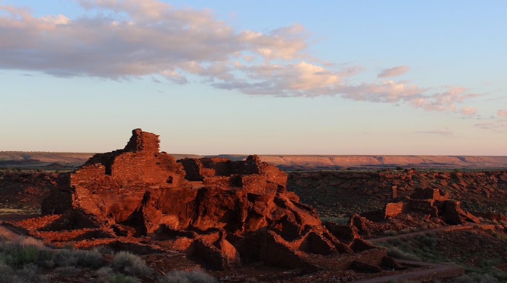 Foto proporcionada por National Parks Service/H.Rich