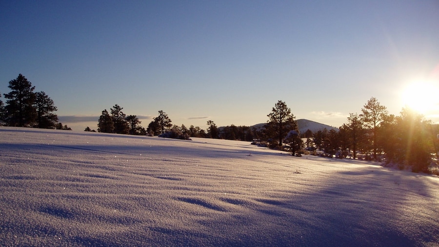 Sunset Crater Volcano National Monument