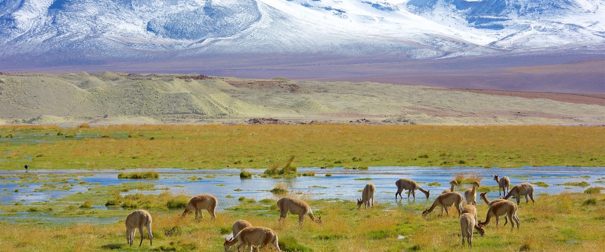 Chile