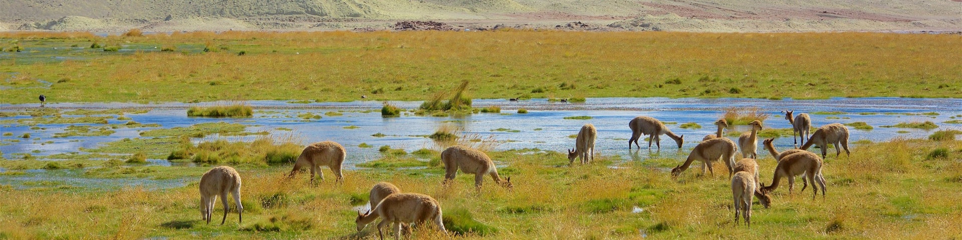 Región de Antofagasta, Chile