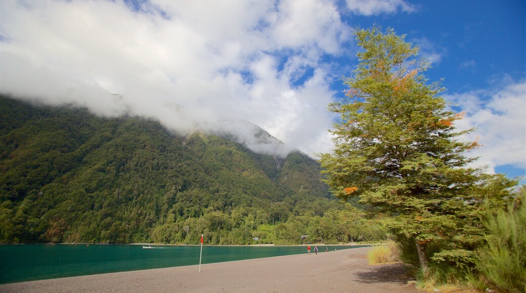 Southern Chile showing tranquil scenes, mist or fog and a lake or waterhole