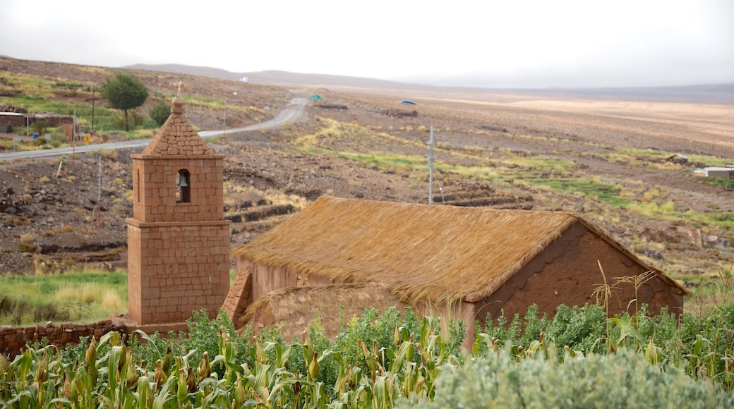 Antofagasta mostrando elementos patrimoniales, tierra de cultivo y situaciones tranquilas