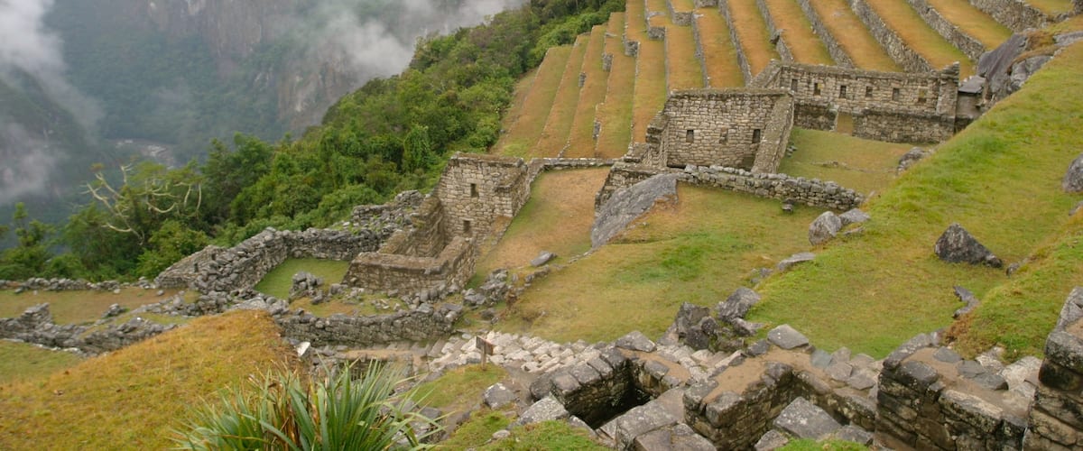 Altiplano peruano