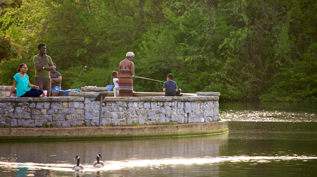 Centennial Park som inkluderar fåglar, en damm och en trädgård