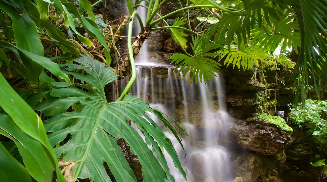 Camino Escénico del Río Ohio