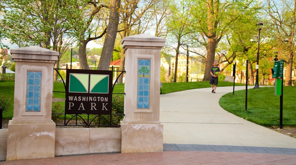 Washington Park toont een park en hiken of wandelen en ook een man