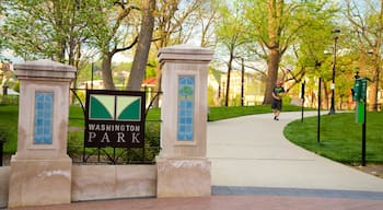 Washington Park toont een park en hiken of wandelen en ook een man