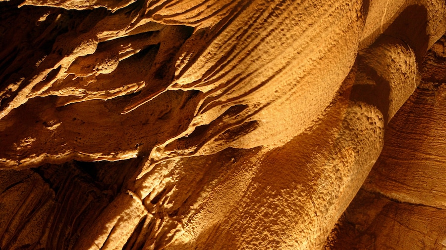 Mammoth Cave National Park