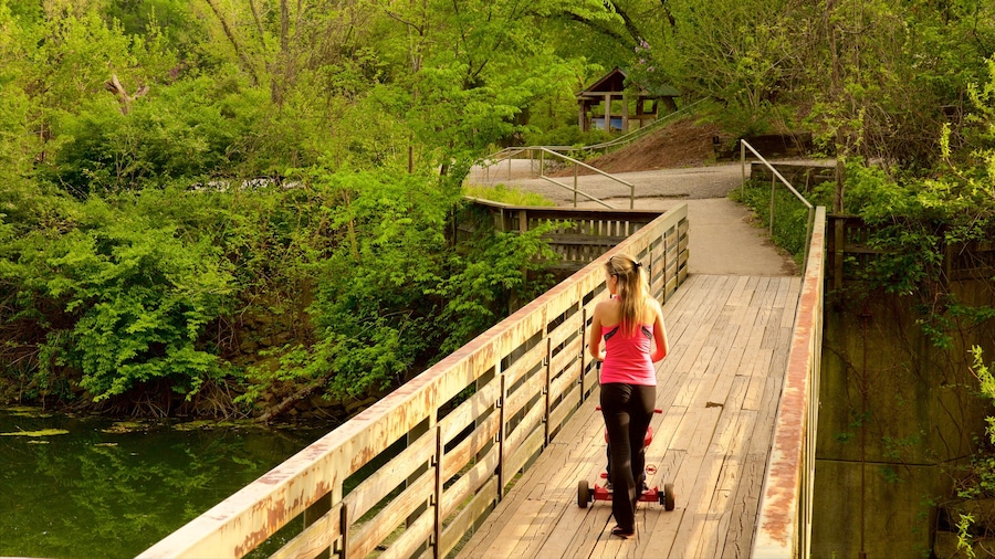 Radnor Lake State Park