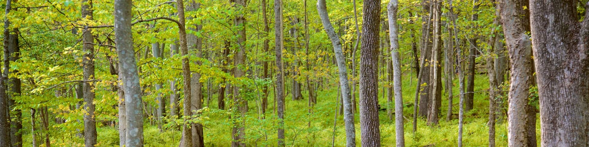 Radnor Lake State Park