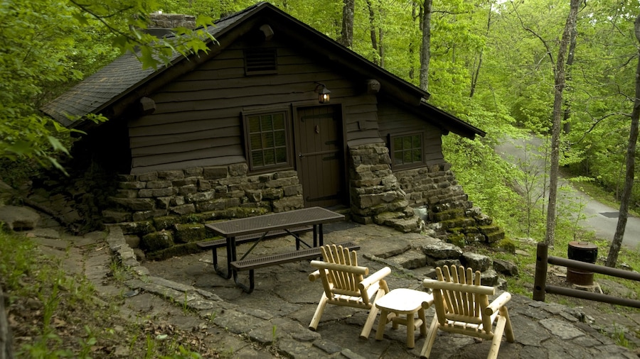 Devil\'s Den State Park mit einem Waldmotive