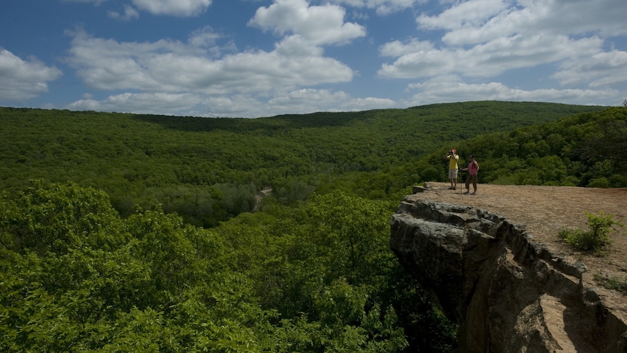 Devil\'s Den State Park