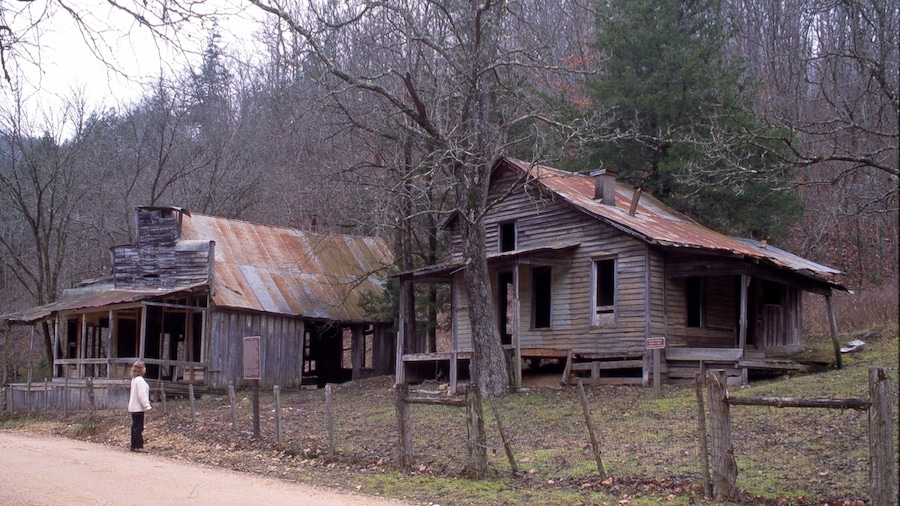 Buffalo National River welches beinhaltet Haus und Waldmotive sowie einzelne Frau