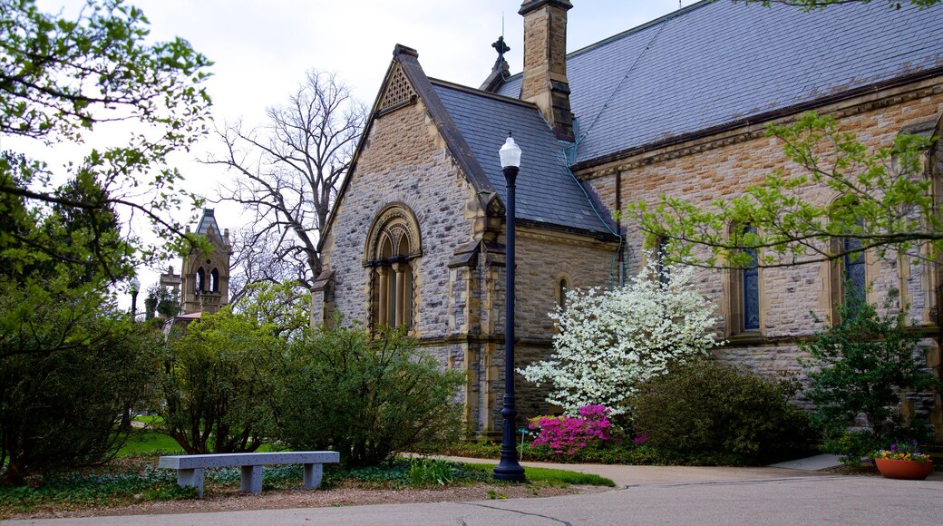 Spring Grove Cemetery mostrando oggetti d\'epoca, giardino e fiori di campo