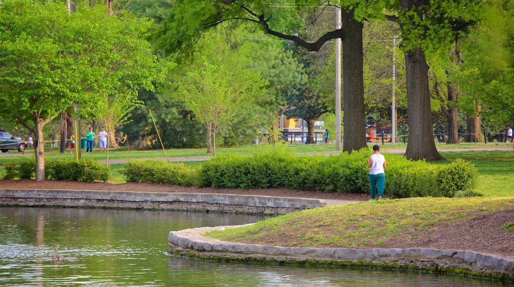 Centennial Park mostrando un lago o espejo de agua y jardín