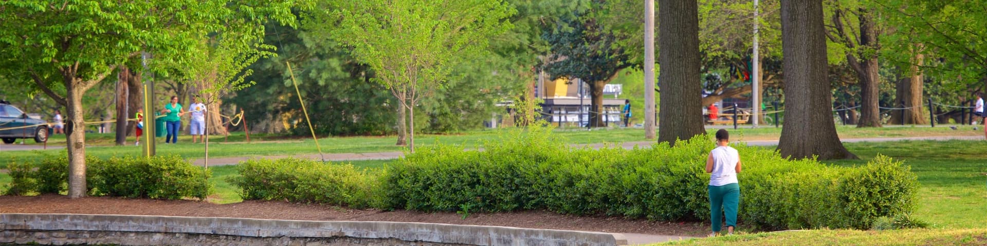 Centennial Park qui includes lac ou étang et parc