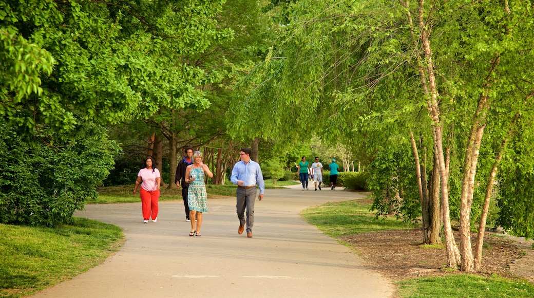 Centennial Park som inkluderar en trädgård