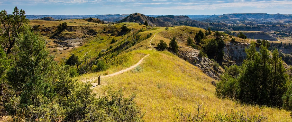 Theodore Roosevelt National Park