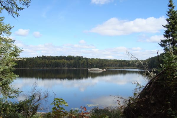 Voyageurs National Park mit einem See oder Wasserstelle und Sumpfgebiet